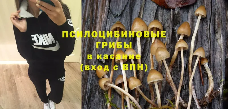 Псилоцибиновые грибы Magic Shrooms  mega ссылка  Электрогорск 