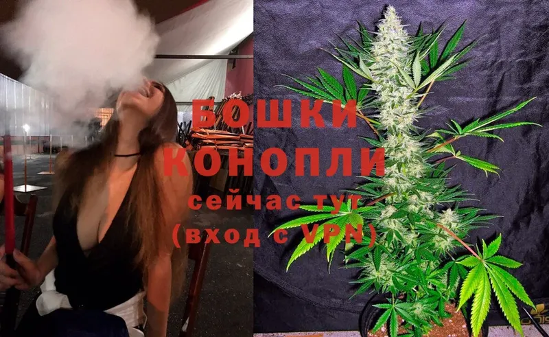 закладки  Электрогорск  Бошки Шишки SATIVA & INDICA 